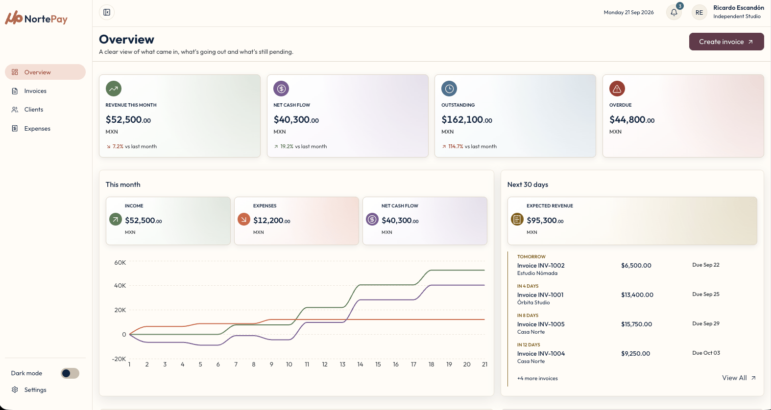 NortePay Dashboard project preview